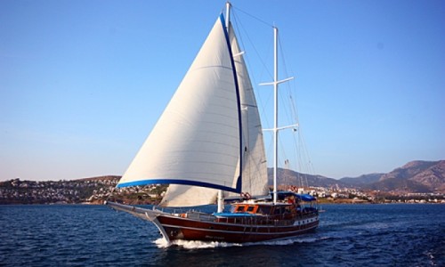 Turkey cruise to New Horizons